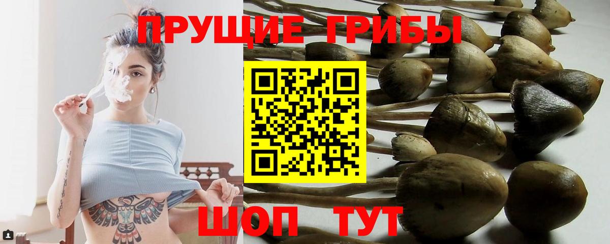 Фурманов  Галлюциногенные грибы прущие грибы  цены наркотик  Вход с VPN 